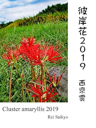 Captivating and Haunting: A Deep Dive into Cluster-Amaryllis 2019 (Japanese Edition) – A Must-Read for Literary Enthusiasts!