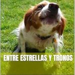 Un Viaje Épico: Reseña de Entre Estrellas y Tronos (Spanish Edition) que No Te Puedes Perder