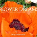 Discover the Inspiration Within: A Must-Read Review of FLOWER DREAMS (MOTIVATIONAL PHOTOGRAPHY BOOKS Book 3)