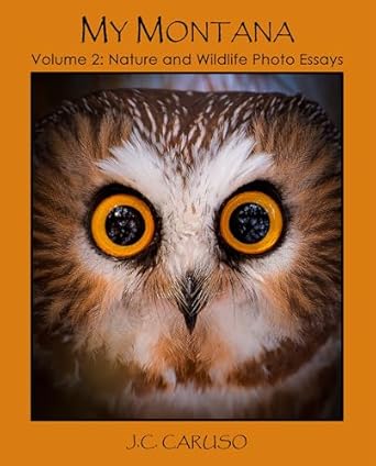 Discover the Beauty of Nature in ‘My Montana, Volume 2: Nature and Wildlife Photo Essays’ – A Stunning Visual Journey Through Montana’s Wilderness