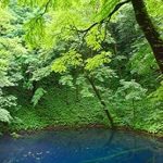 Discover the Enchanting Beauty of Japan: A Review of ‘Tohoku Region of Japan where the god of art descends: The beauty of four seasons’