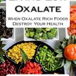Transform Your Health: A Comprehensive Review of ‘Living Low Oxalate: When Oxalate Rich Foods Destroy Your Health’