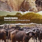 An Unforgettable Exploration: Dreams of the Serengeti – A Photographic Journey from Amazon